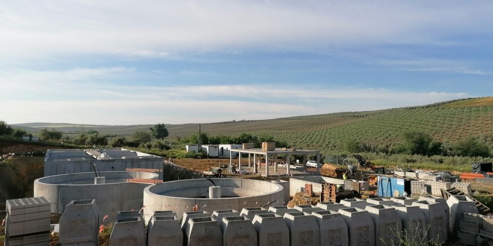 IMG_20200423_091050_resized_20200423_062353889