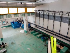Las obras en el Centro de Depuración de Moluscos de Isla Cristina entran en su última fase