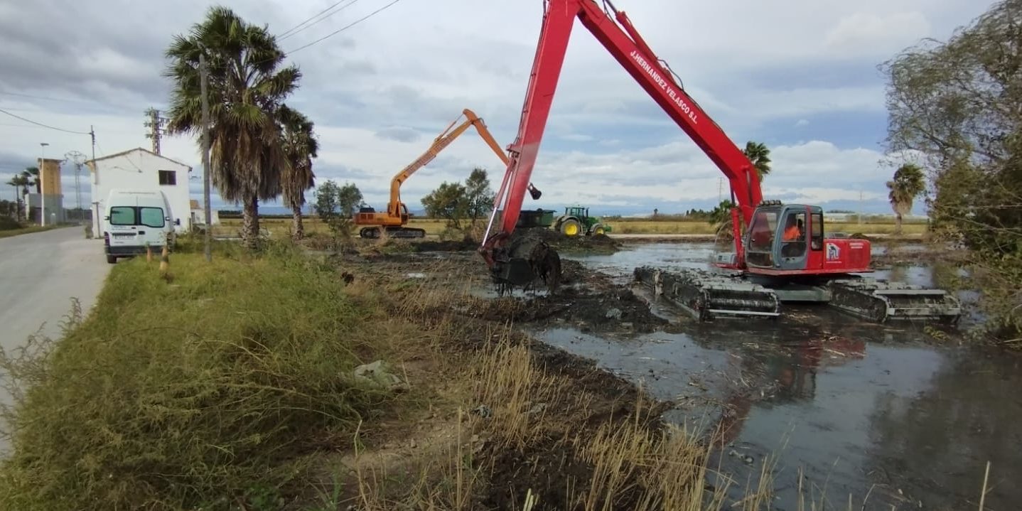 Albufera3 noviembre23