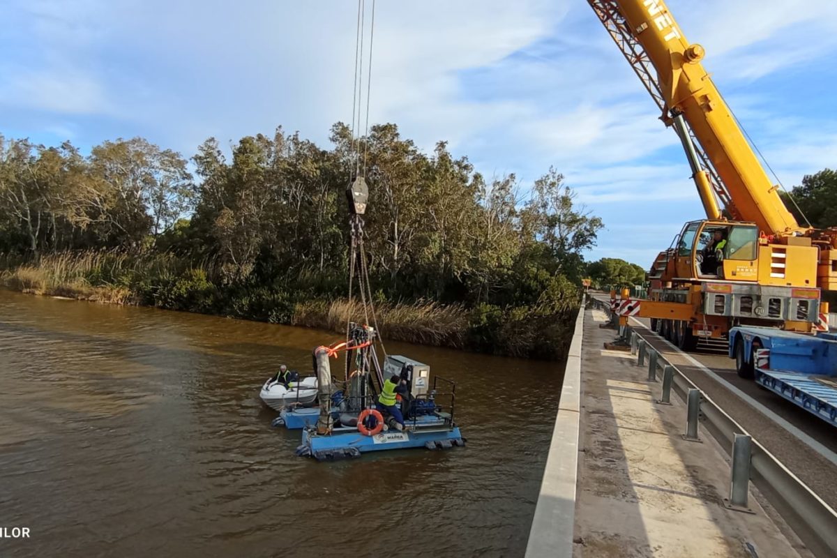 Mejora de la dinámica sedimentaria en el río Ebro. Tramo Mequinenza-Xerta