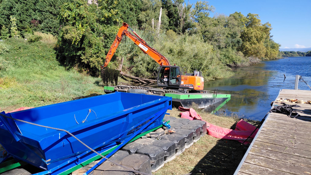 Comienzan los trabajos de MAREA para eliminar la planta invasora egeria densa en el río Miño