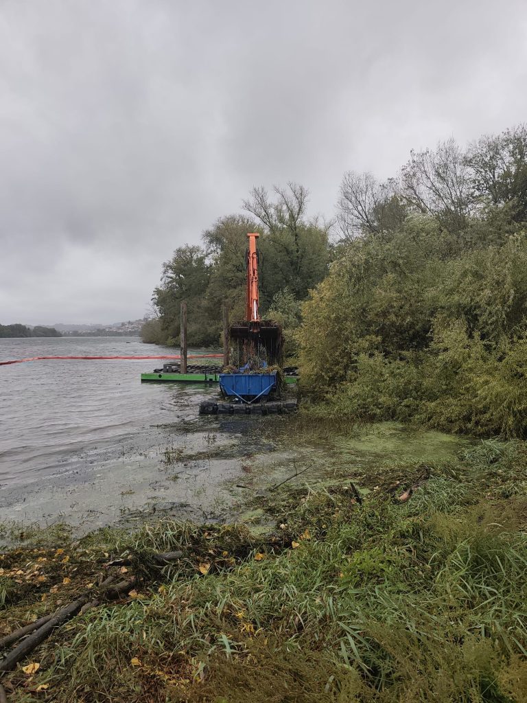 MAREA finaliza la retirada de la planta invasora Egeria densa en el río Miño